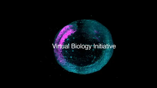 ภาพประกอบโครงการ Virtual Biology Initiative ของ Biohub เป็นภาพเรืองแสงสีฟ้าและม่วงบนพื้นดำ พร้อมชื่อโครงการตรงกลาง