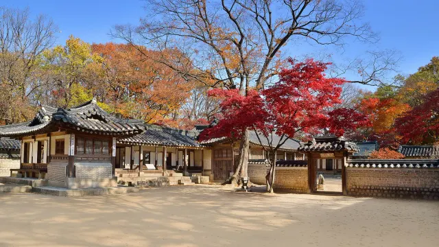 สวนลับชางด็อกกุง ใบไม้เปลี่ยนสี: เรือนยอนกยองดังกับต้นเมเปิลสีแดงในสวนลับ ภาพถ่ายวันที่ 16 พฤศจิกายน 2012