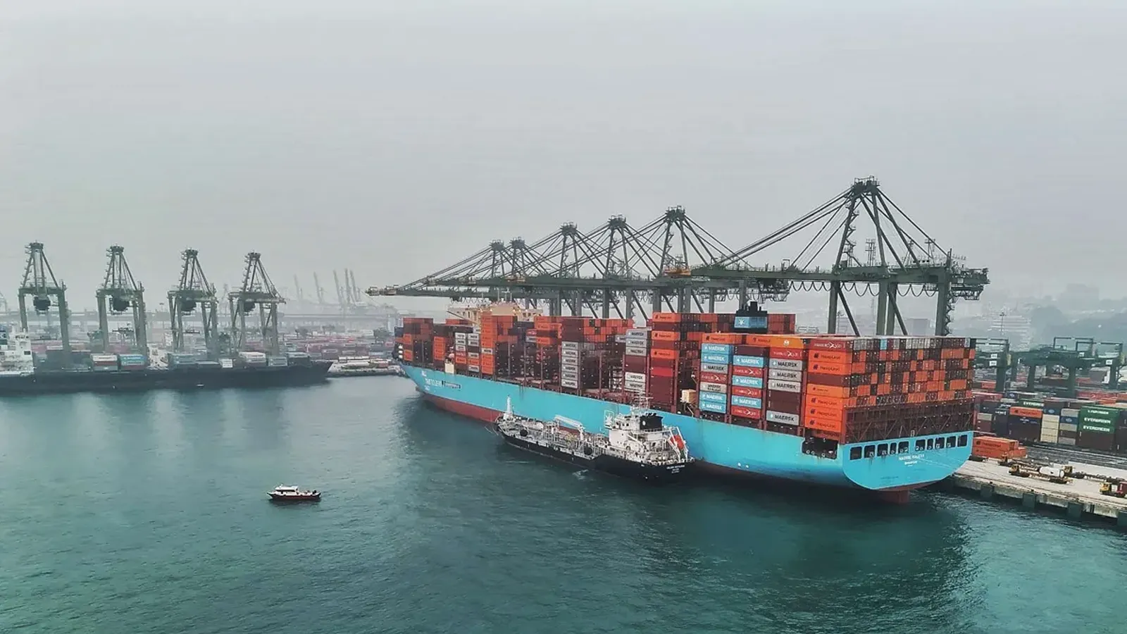 Ethanol Bunkering สิงคโปร์: เรือคอนเทนเนอร์ Maersk Halifax เทียบท่า Pasir Panjang ใต้ปั้นจั่นยกตู้ มีเรือบรรทุกเชื้อเพลิงขนาดเล็กเทียบข้างลำ