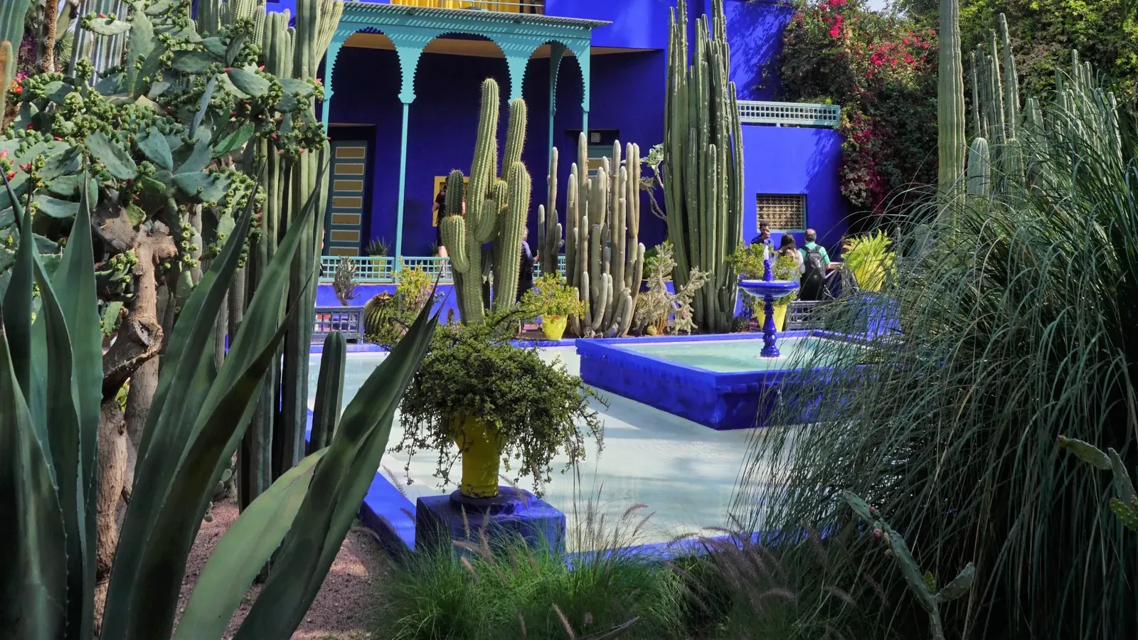 อดีตสตูดิโอสีน้ำเงินเข้มของ Jacques Majorelle กลาง Jardin Majorelle ระเบียงชั้นบน กระบองเพชรสูง และแอ่งน้ำด้านหน้า