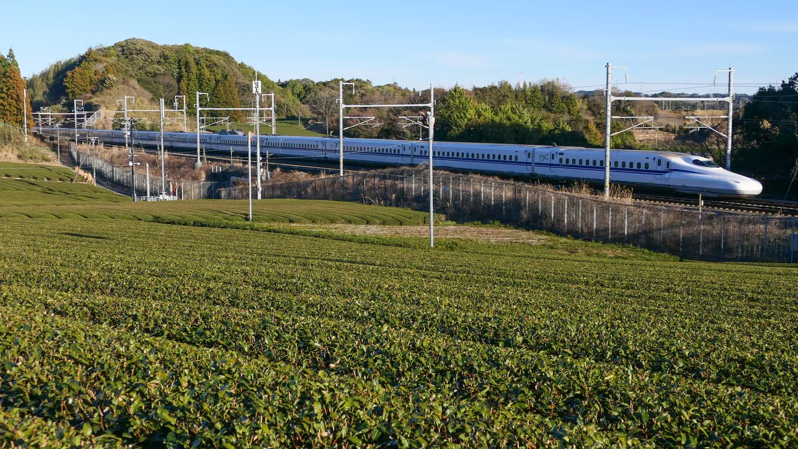 รถไฟชินคันเซ็น N700S สายโทไกโดวิ่งผ่านไร่ชาที่คิคุงาวะ ประเทศญี่ปุ่น
