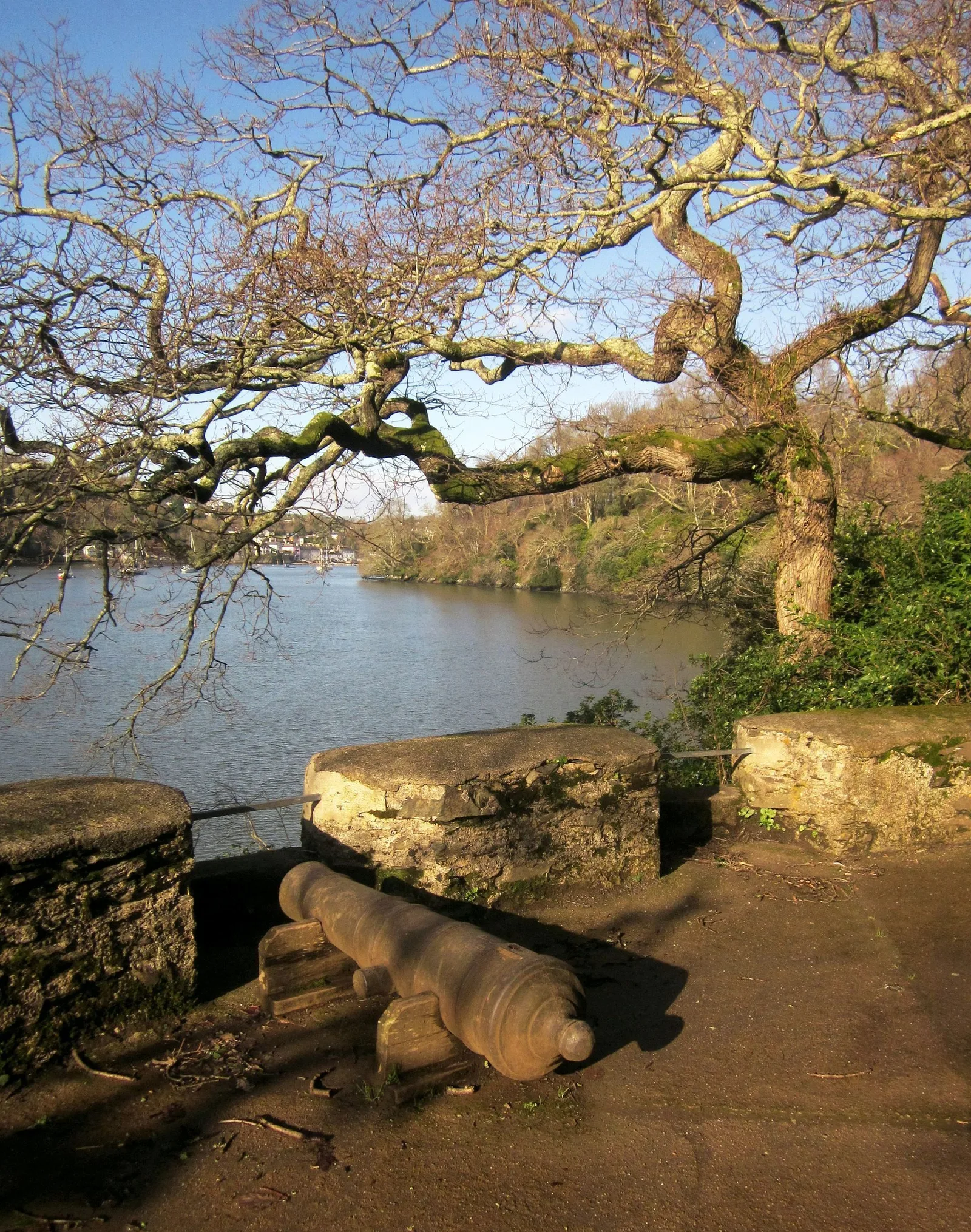 ปืนใหญ่ที่ป้อม Battery ริมแม่น้ำ Dart ใน Greenway ภาพถ่ายเมื่อ 7 กุมภาพันธ์ 2014