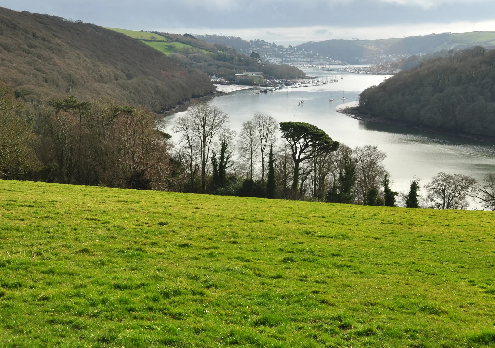 แม่น้ำ Dart ใต้ Greenway มองไปทาง Kingswear และ Dartmouth ภาพถ่ายเมื่อ 27 กุมภาพันธ์ 2012