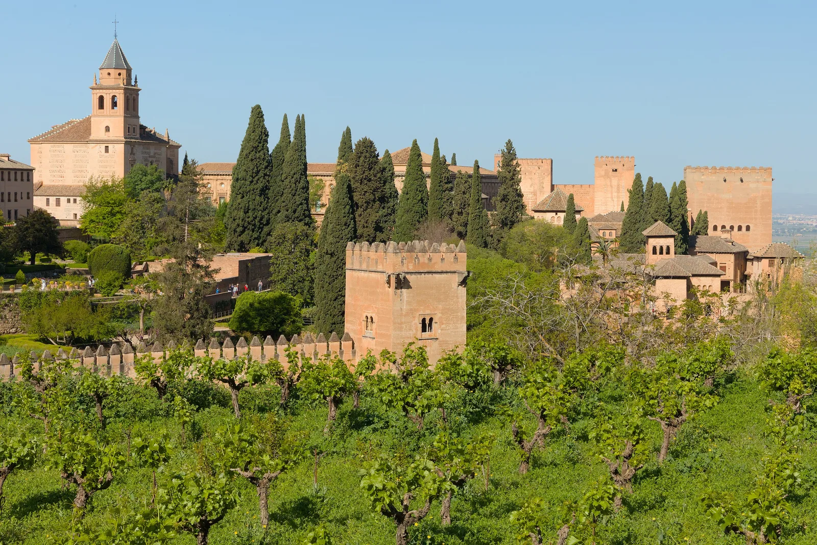 พระราชวัง Alhambra มองจาก Generalife ด้านหน้าคือแปลงองุ่น ภาพถ่ายเมื่อ 13 เมษายน 2024