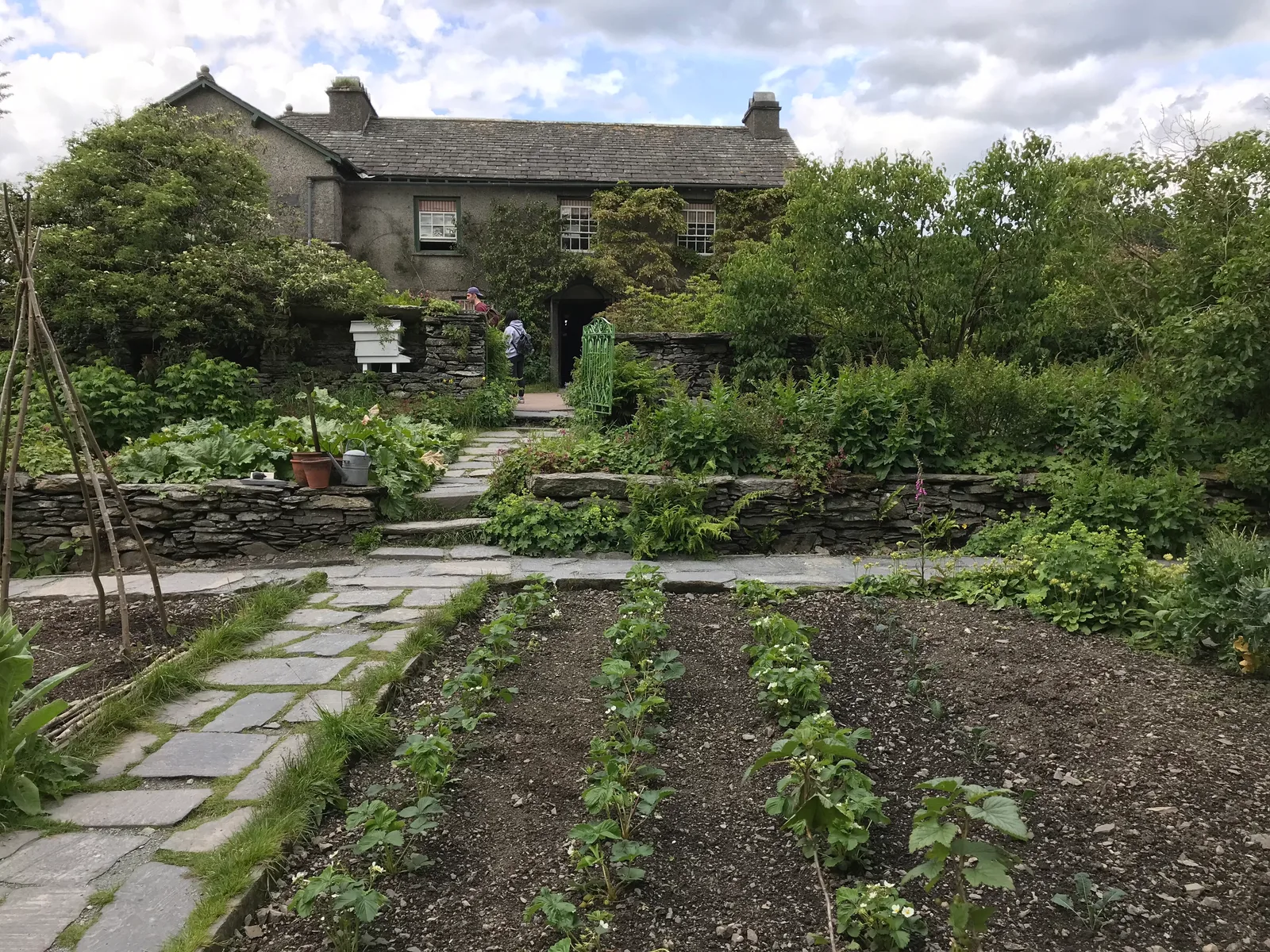 แปลงผักเรียงแถวหน้าบ้าน Beatrix Potter ภาพถ่ายเมื่อ 10 มิถุนายน 2019