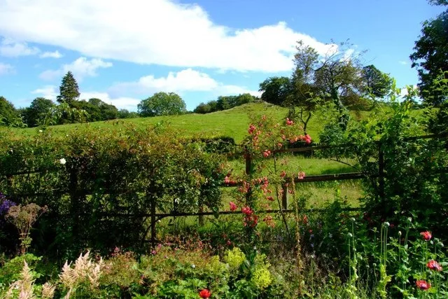 มองจากสวน Hill Top ไปทางตะวันออกเฉียงใต้สู่เนิน Castle Wood ภาพถ่ายเมื่อ 24 กรกฎาคม 2007