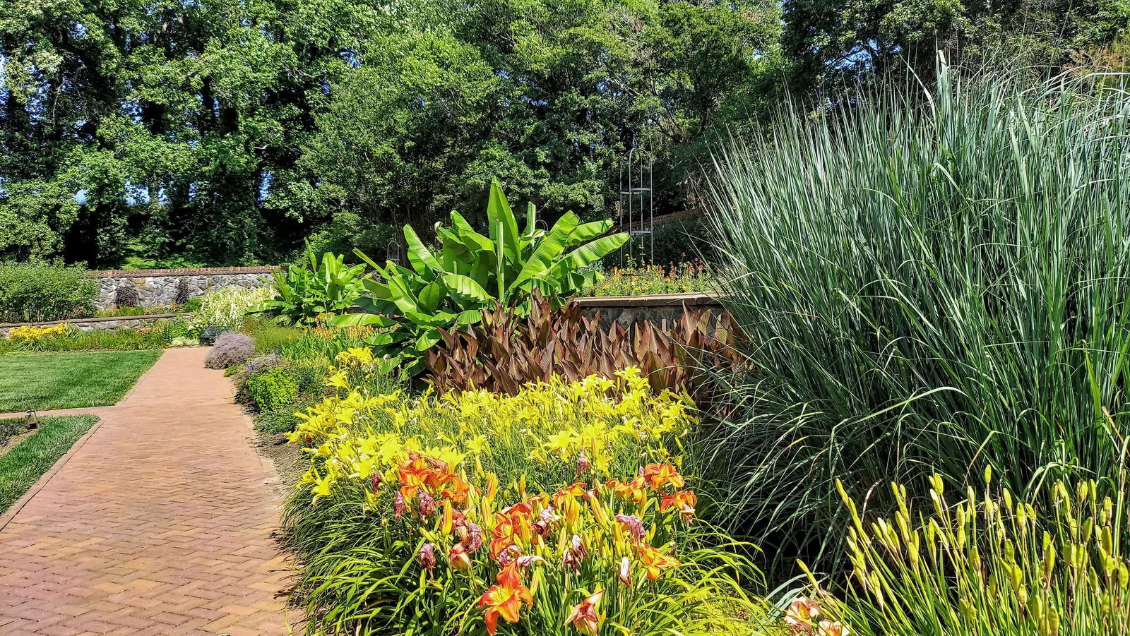 ทางเดินอิฐใน Walled Garden ของ Biltmore Estate ขนาบด้วยไม้ดอกสีเหลืองและส้มกับหญ้าประดับต้นสูง
