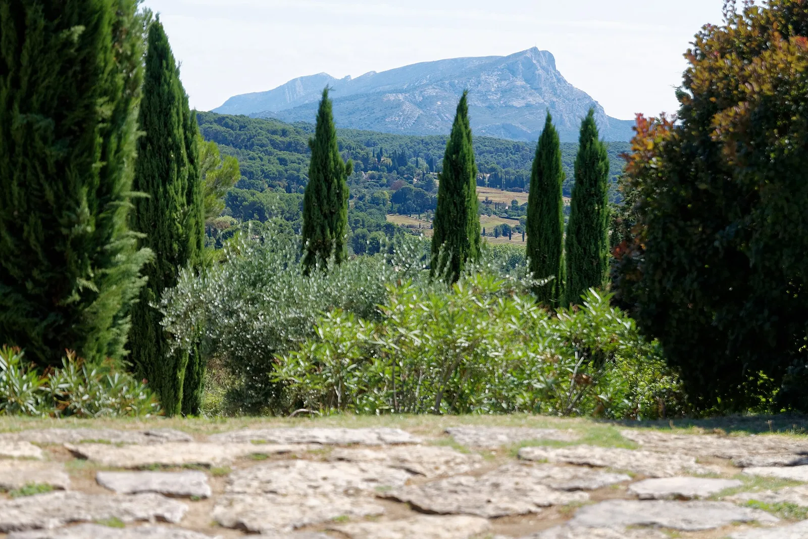 ทิวทัศน์ภูเขา Sainte-Victoire จาก Jardin des Peintres ใน Aix-en-Provence ภาพถ่ายปี 2018