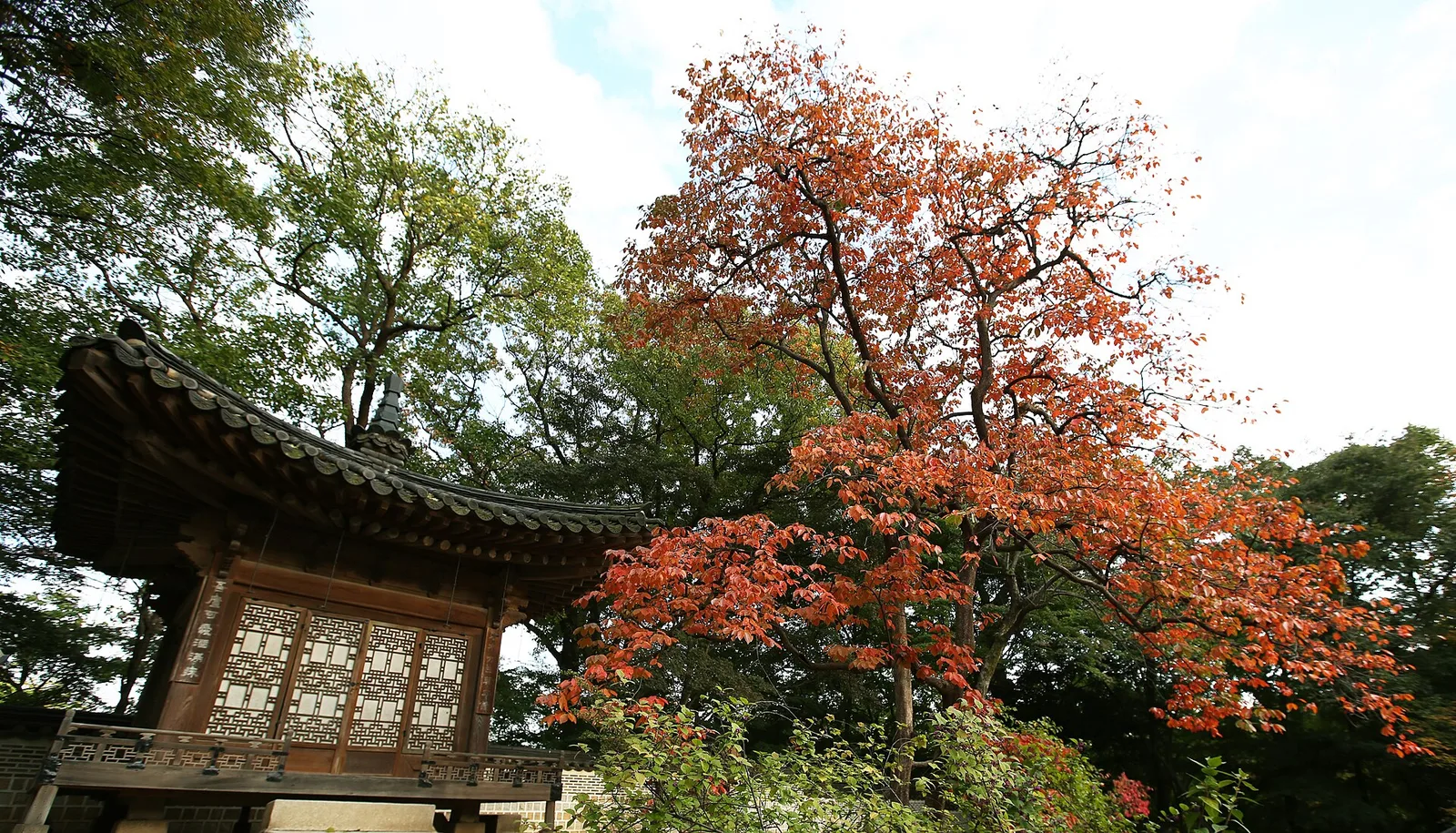 ศาลานงซูจอง (Nongsujeong) ในเขตยอนกยองดังกับต้นไม้สีส้ม ภาพถ่ายวันที่ 22 ตุลาคม 2014