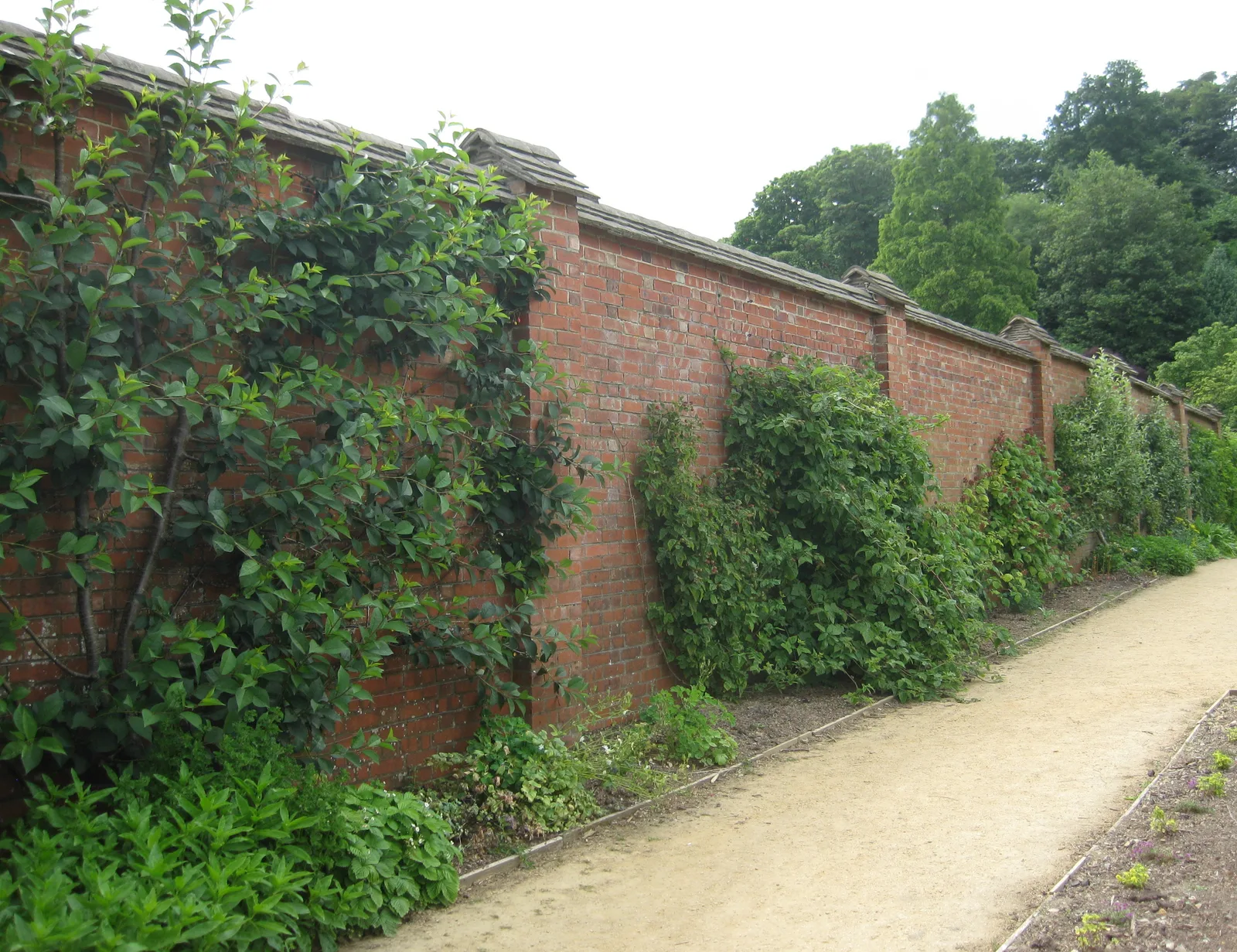 กำแพงอิฐรอบสวนผักของบ้าน Chartwell ซึ่งส่วนใหญ่เชอร์ชิลก่อเอง ภาพถ่ายเมื่อ 22 มิถุนายน 2014
