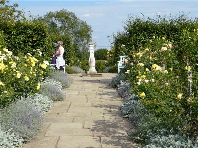 ทางเดินกุหลาบสีทอง (Golden Rose Walk) ที่บ้าน Chartwell กุหลาบสีเหลืองสองข้างทางเดินหินกับนาฬิกาแดดตรงกลาง ภาพถ่ายเดือนสิงหาคม 2006