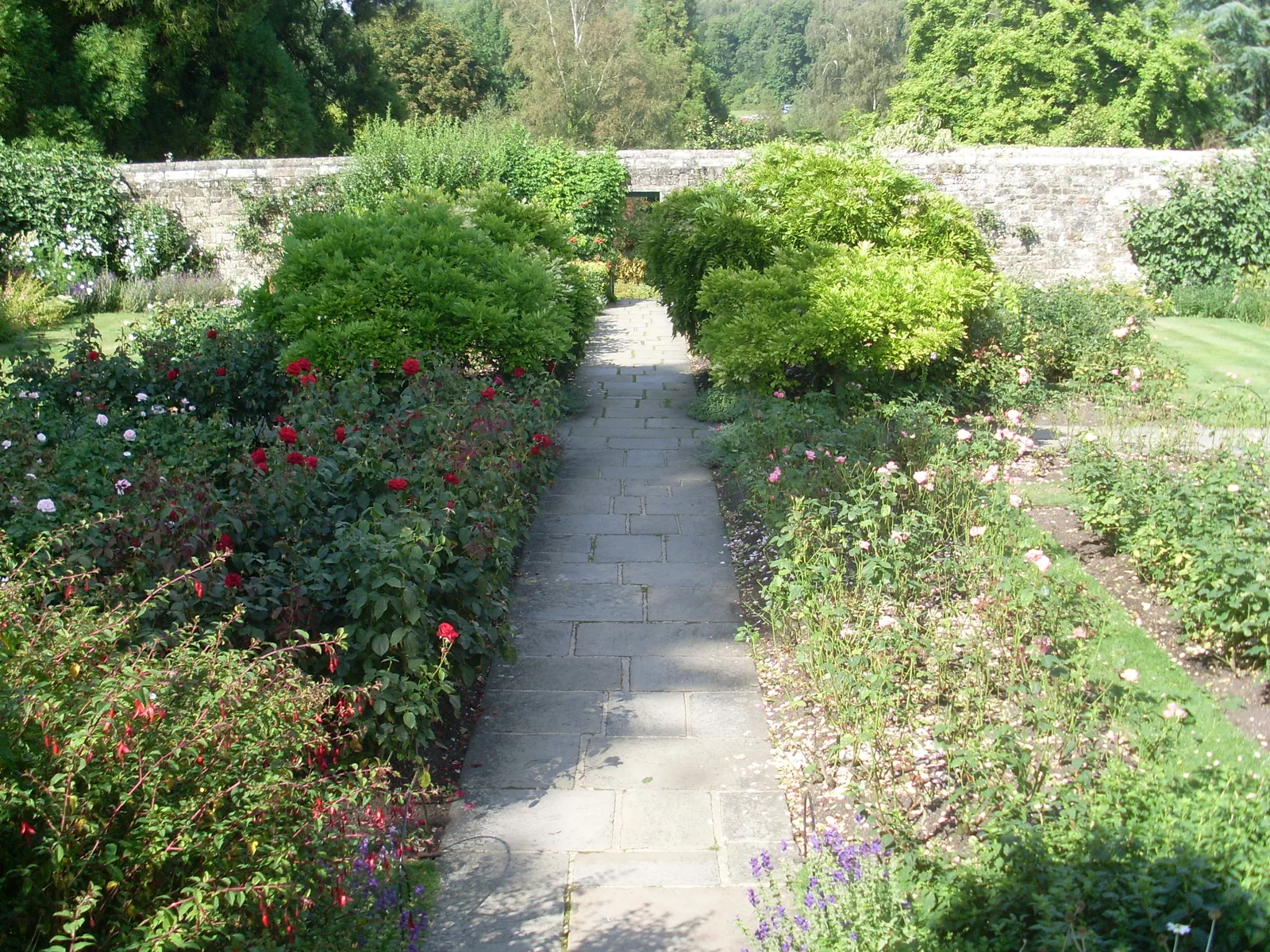 สวนกุหลาบของ Lady Churchill ที่บ้าน Chartwell ทางเดินหินระหว่างแปลงไม้ดอกในสวนที่ล้อมด้วยกำแพง ภาพถ่ายเมื่อ 7 สิงหาคม 2014