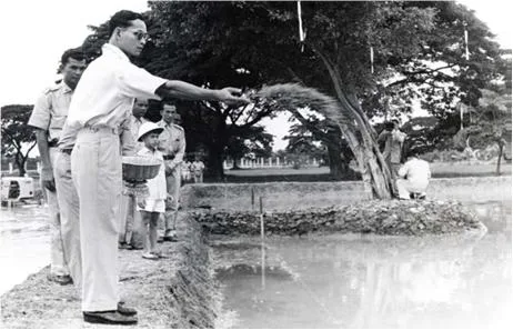 ภาพถ่ายเก่า รัชกาลที่ 9 ทรงหว่านข้าว ณ โครงการส่วนพระองค์ สวนจิตรลดา