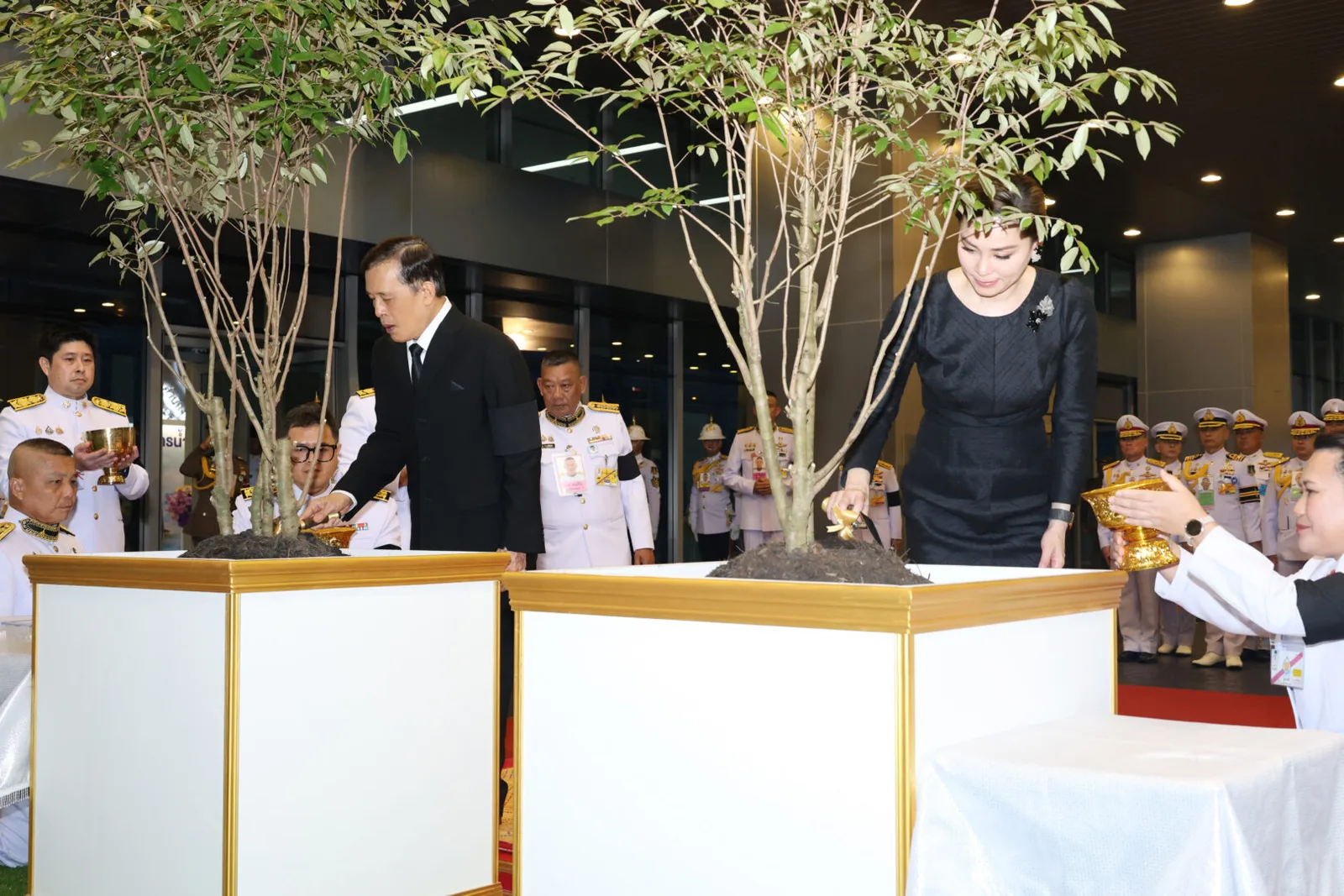 ไปทรงปลูกต้นรวงผึ้ง อาคารชลพิพัฒน์