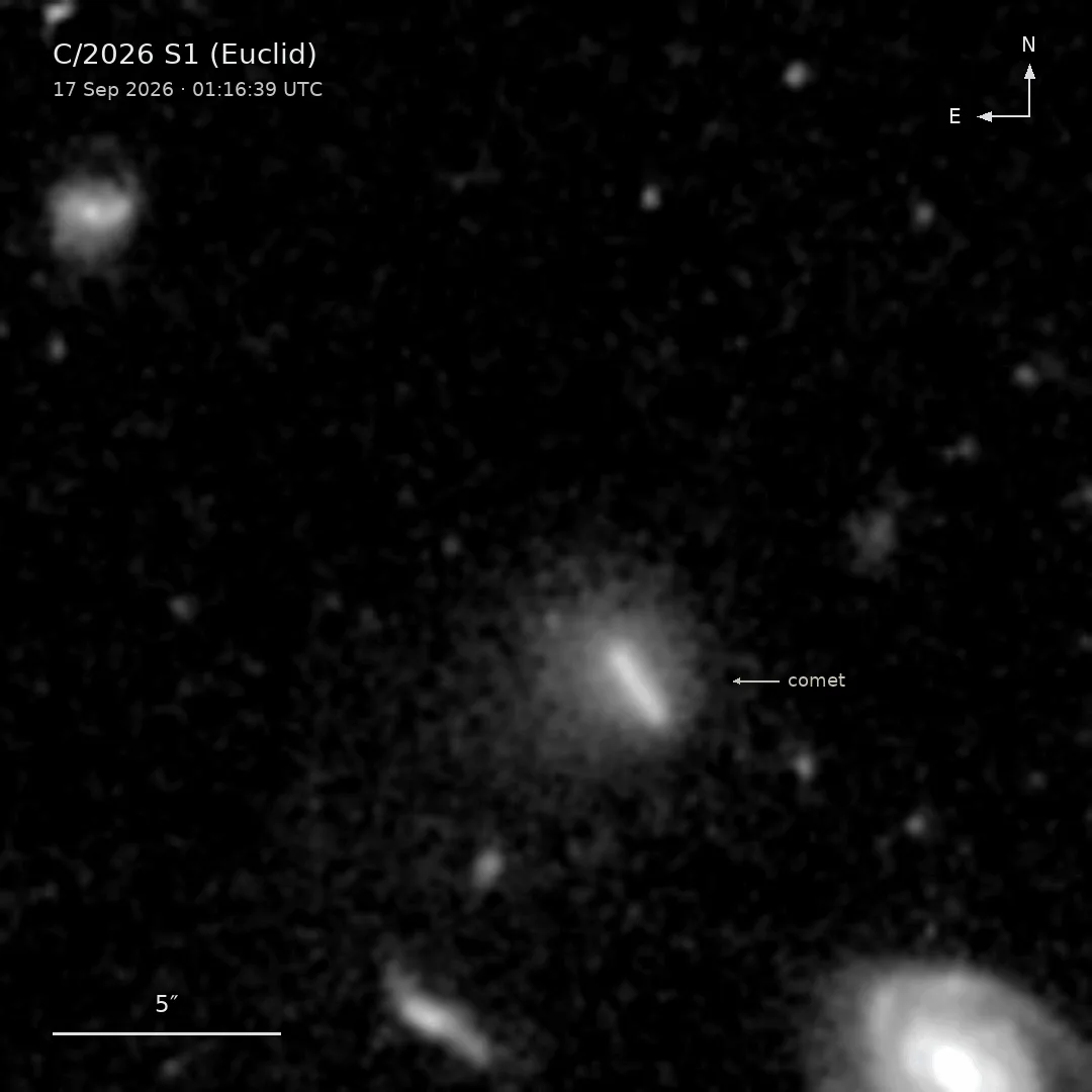 ภาพขาวดำจากกล้อง VIS ของ Euclid เฟรมเวลา 01:16:39 UTC วันที่ 17 กันยายน 2026 ลูกศรชี้ดาวหาง C/2026 S1 (Euclid) ที่ปรากฏเป็นรอยลากสั้นล้อมด้วยกลุ่มฝุ่นฟุ้ง ท่ามกลางดาวและดาราจักรพื้นหลัง พร้อมแถบมาตราส่วน 5 พิลิปดา
