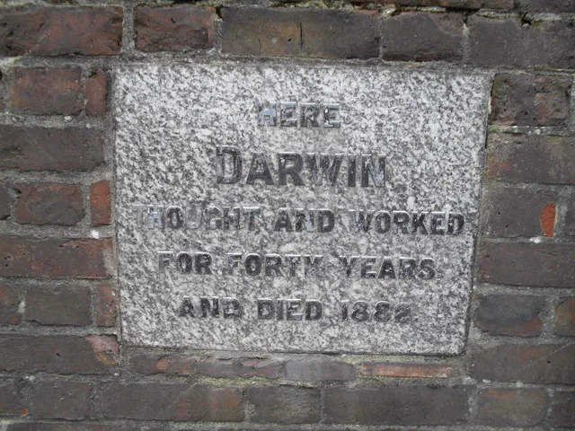 แผ่นหินรำลึกนอกบ้าน Down House เขียนว่า Darwin คิดและทำงานที่นี่ 40 ปี และเสียชีวิตปี 1882 ภาพถ่ายเมื่อ 8 พฤษภาคม 2010