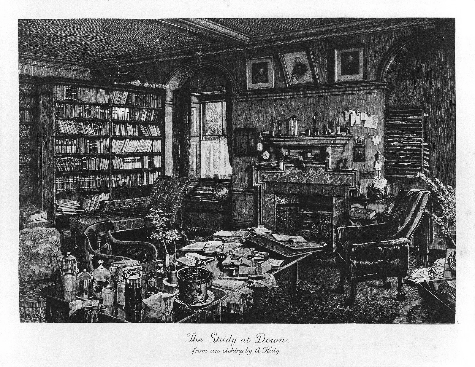 ภาพพิมพ์ The Study at Down ห้องทำงานของ Darwin