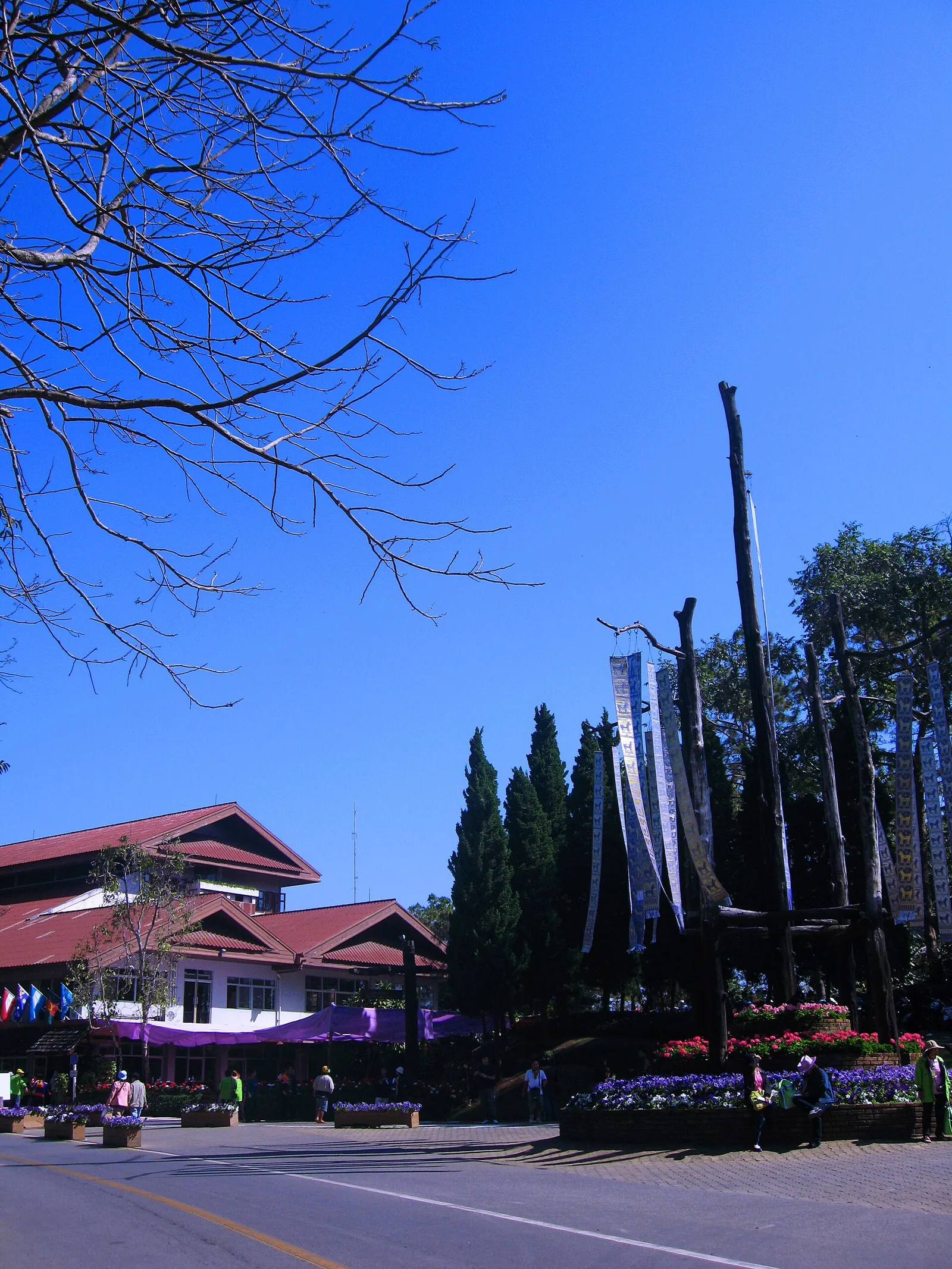 ตุงที่สวนแม่ฟ้าหลวง ภาพถ่ายที่เผยแพร่เมื่อ พ.ศ. 2554