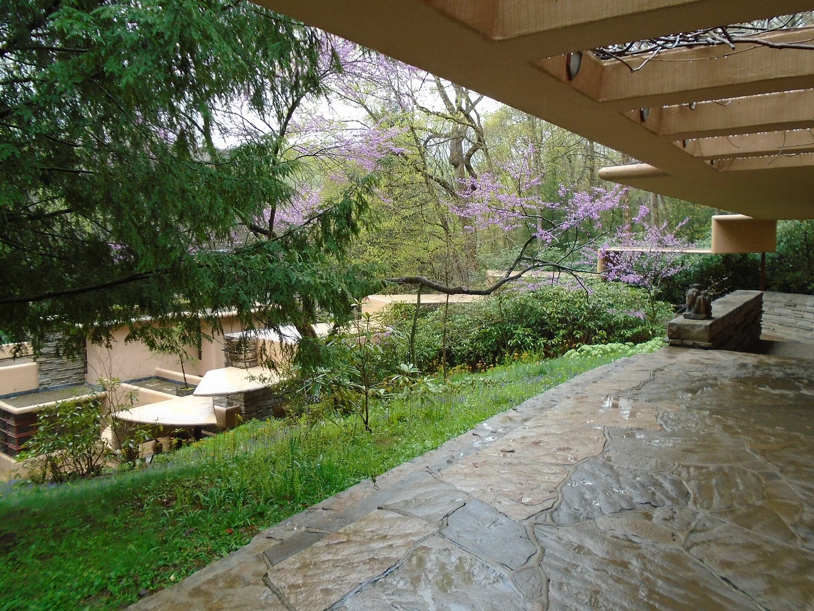 บ้าน Fallingwater มองจากบ้านพักแขก