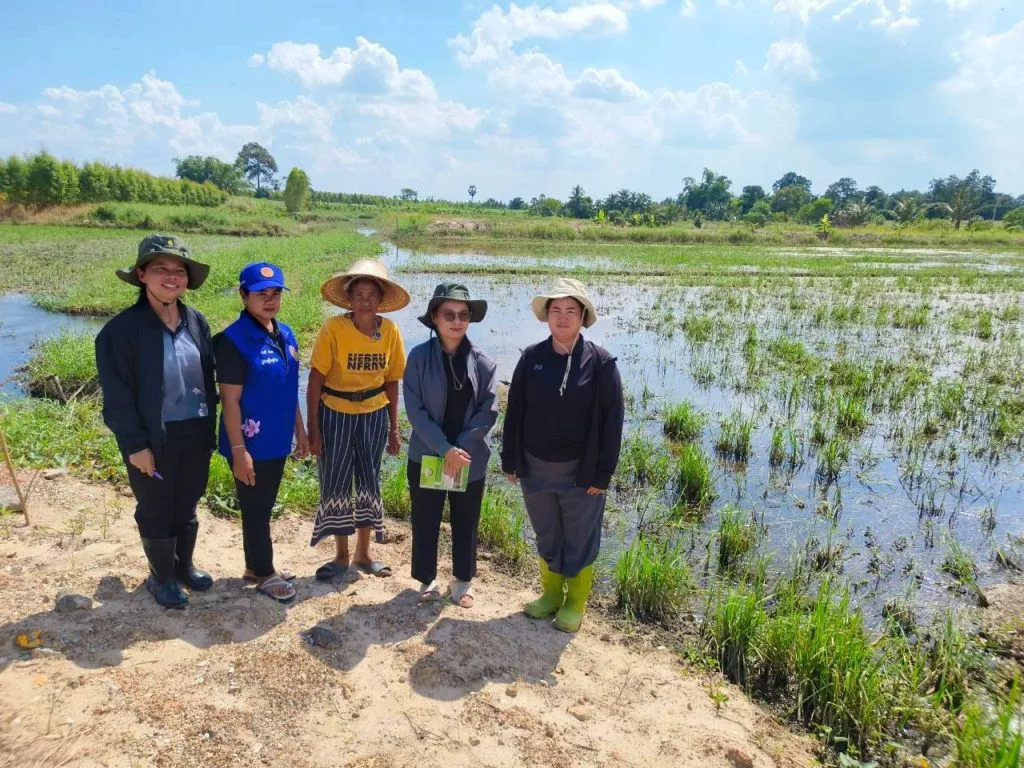 เจ้าหน้าที่เกษตรและเกษตรกรริมนาข้าวที่ถูกน้ำท่วม เดือนตุลาคม 2569