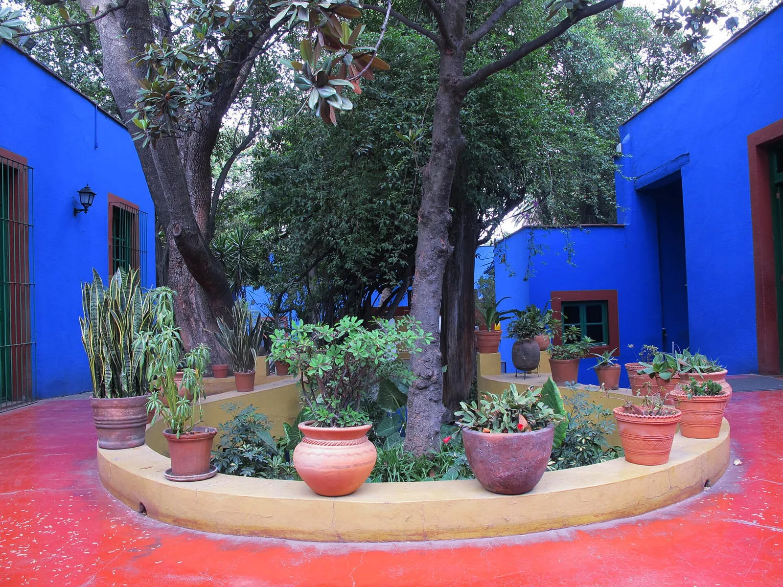 ลานสีแดง (Patio Rojo) ใน Casa Azul มีแปลงกระถางต้นไม้ล้อมโคนต้นไม้ใหญ่ ผนังสีน้ำเงิน ภาพถ่ายปี 2011