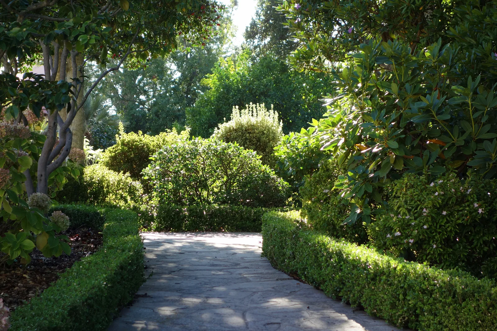 ทางเดินหินในสวนของ Hearst Castle ขนาบด้วยแนวพุ่มไม้ตัดแต่งเตี้ยและต้นไม้ใหญ่