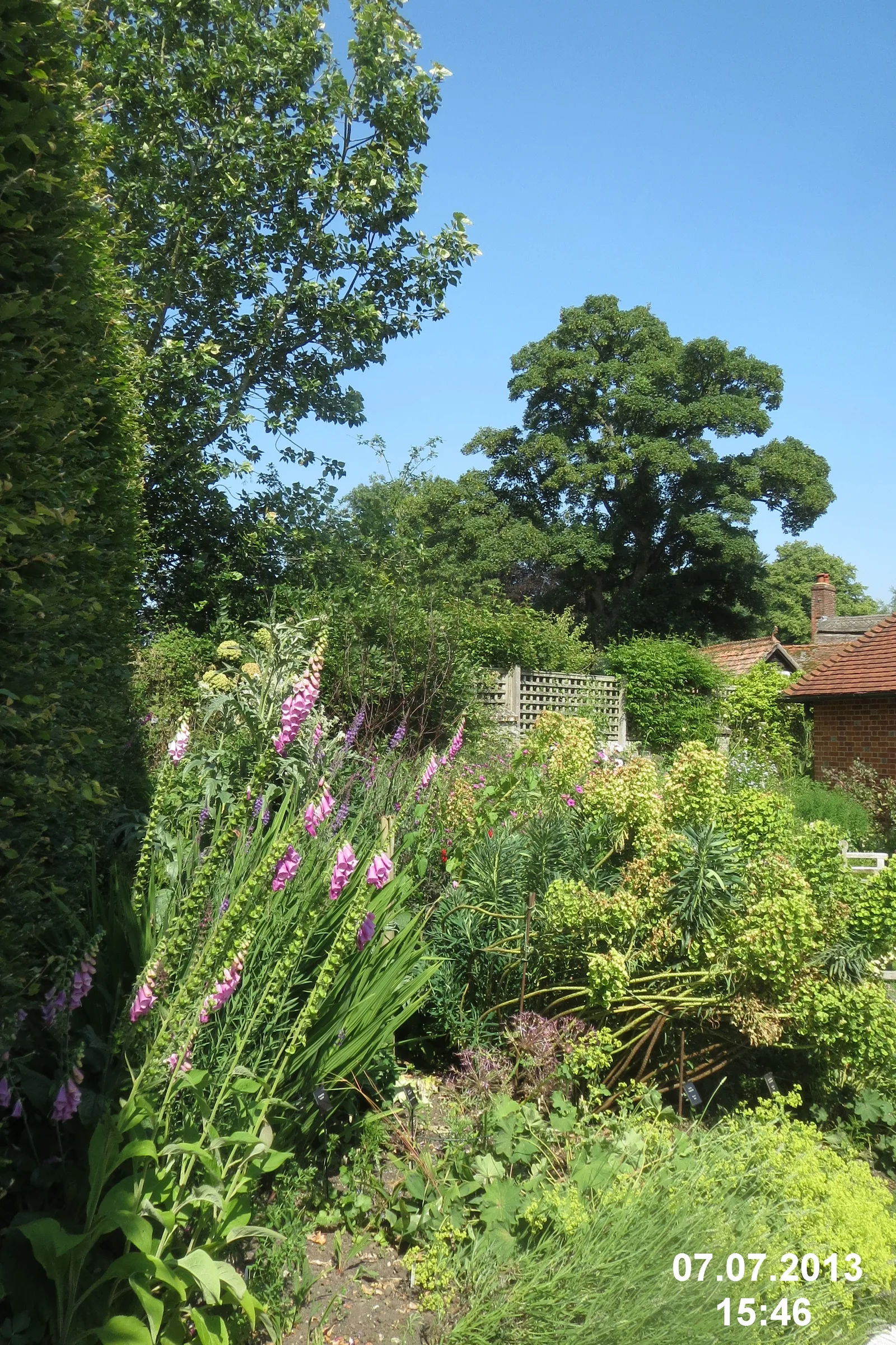 แปลงไม้ดอกในสวนบ้านของ Jane Austen ภาพถ่ายเมื่อ 7 กรกฎาคม 2013