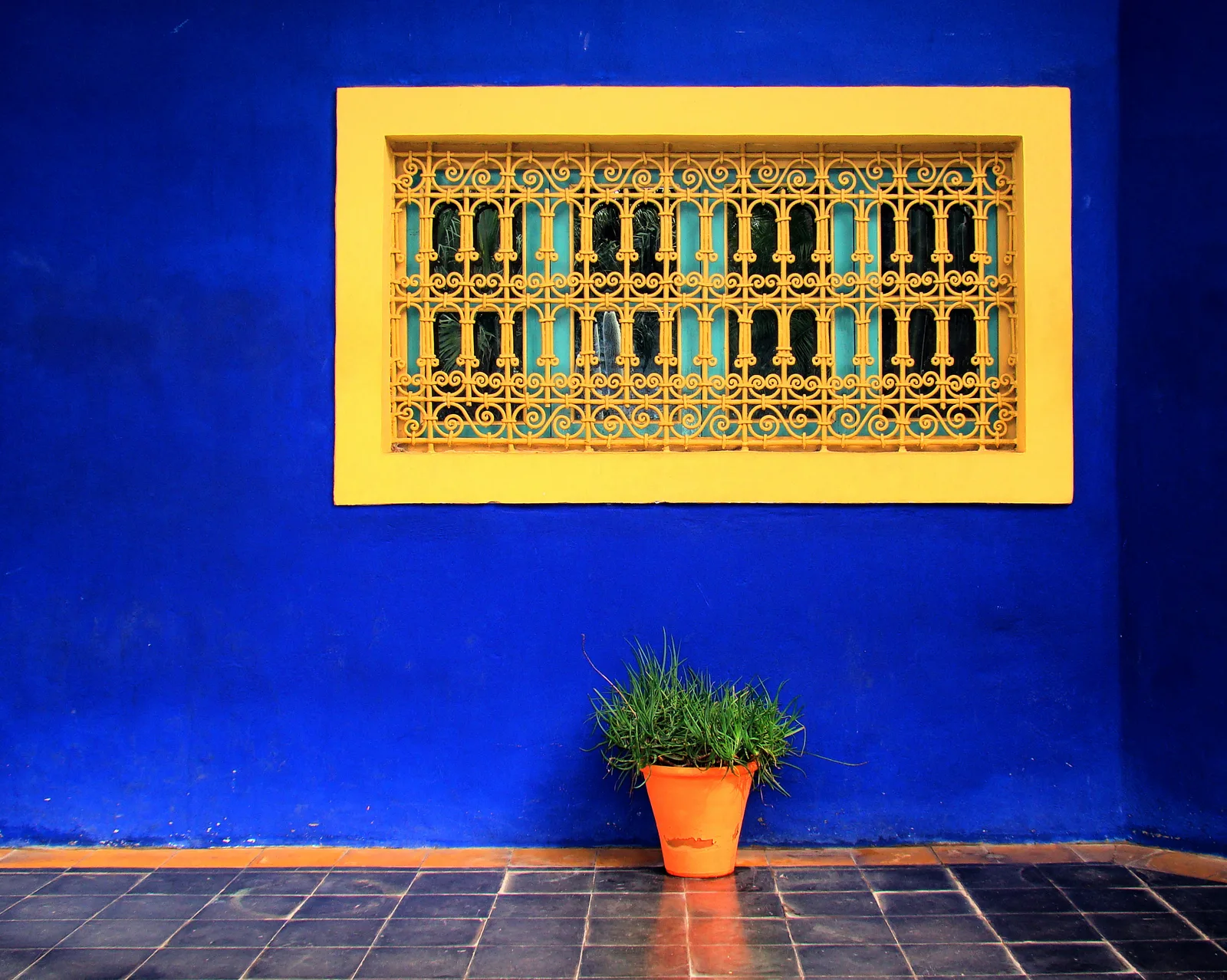 ผนังสีน้ำเงินโคบอลต์ใน Jardin Majorelle กับหน้าต่างกรอบสีเหลือง ลูกกรงเหล็กดัด และกระถางต้นไม้สีส้มบนพื้นกระเบื้อง