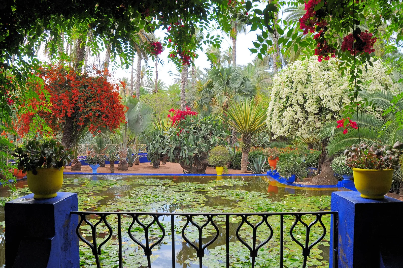 สระบัวมองผ่านราวเหล็กดัดระหว่างเสาสีน้ำเงินใน Jardin Majorelle ภาพถ่ายเมื่อ 25 เมษายน 2010