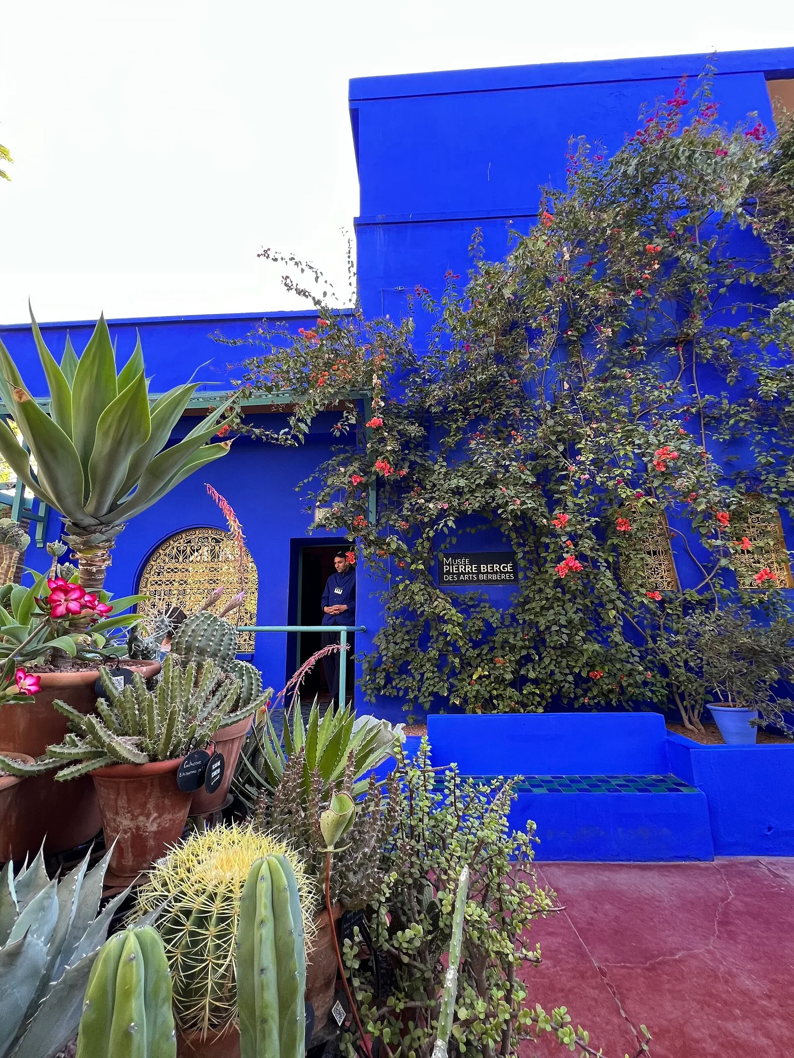 อาคารสีน้ำเงินใน Jardin Majorelle ที่จัดแสดงศิลปะและวัตถุของชาวเบอร์เบอร์ ภาพถ่ายเมื่อ 2 พฤษภาคม 2024