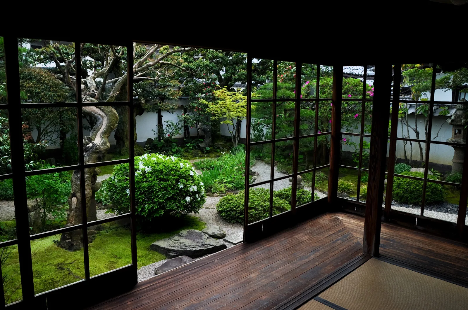 สวนญี่ปุ่นของบ้านพักเดิม Lafcadio Hearn ในมัตสึเอะ มองจากห้องที่มีบานกระจกรอบด้าน ภาพถ่ายเดือนพฤษภาคม 2011