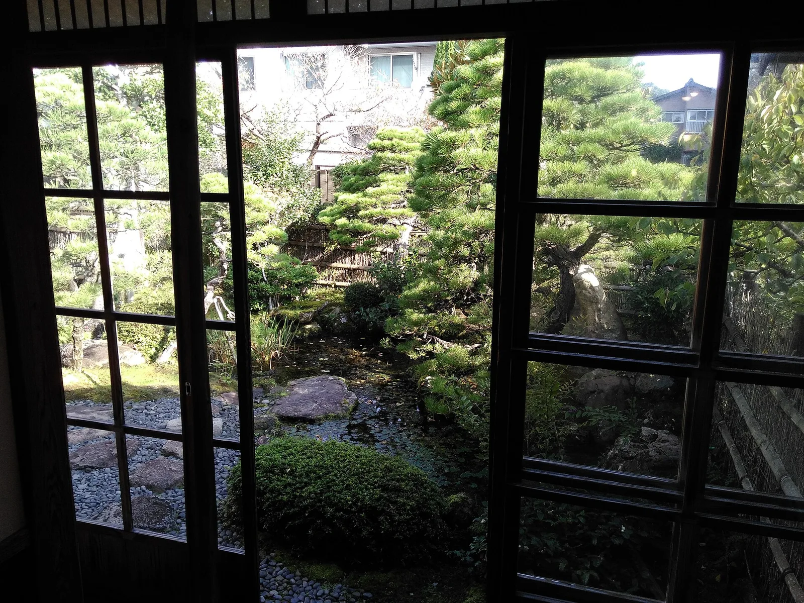 สวนของบ้านพักเดิม Lafcadio Hearn มองผ่านบานหน้าต่างไม้ เห็นต้นสนและไม้พุ่มตัดแต่ง ภาพถ่ายเดือนตุลาคม 2016