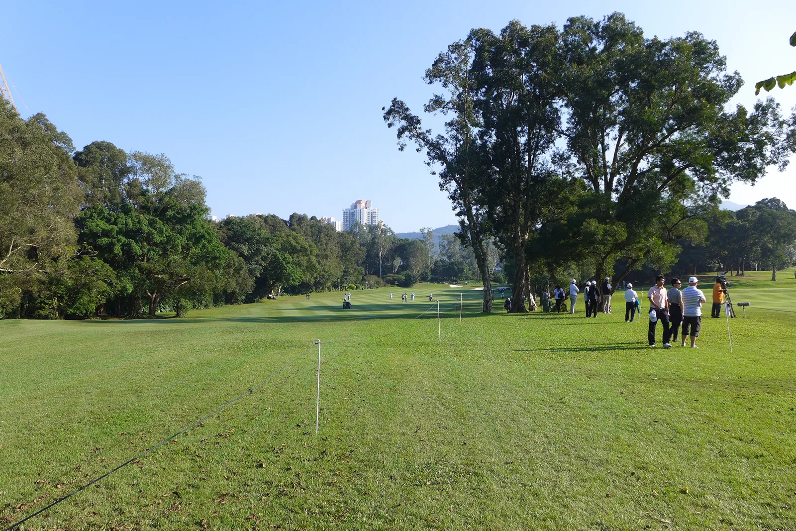 หลุมที่ 15 ของสนาม Hong Kong Golf Club ที่ Fanling แฟร์เวย์สีเขียวล้อมด้วยต้นไม้ใหญ่ ภาพปี 2016