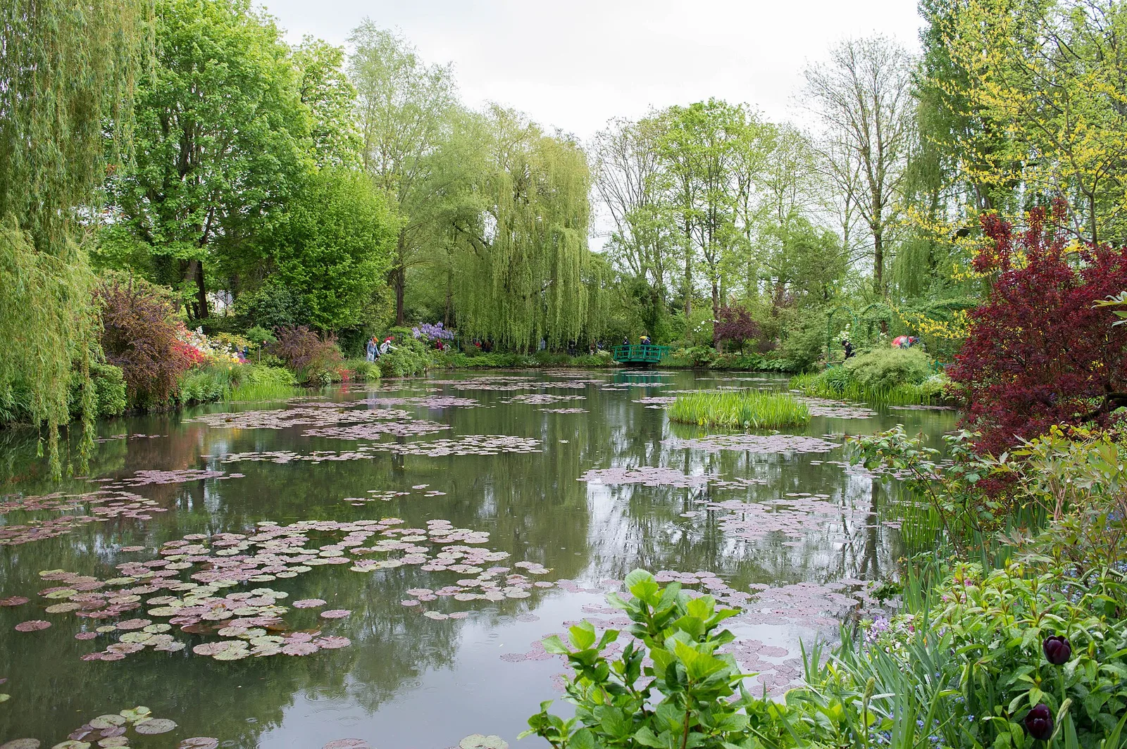 บ่อบัวในสวนน้ำของ Fondation Claude Monet ที่จิแวร์นี ภาพถ่ายเดือนพฤษภาคม 2015