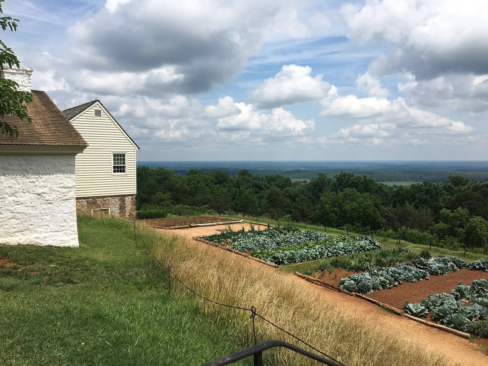 แปลงผักในสวนผักของบ้าน Monticello ปี 2022