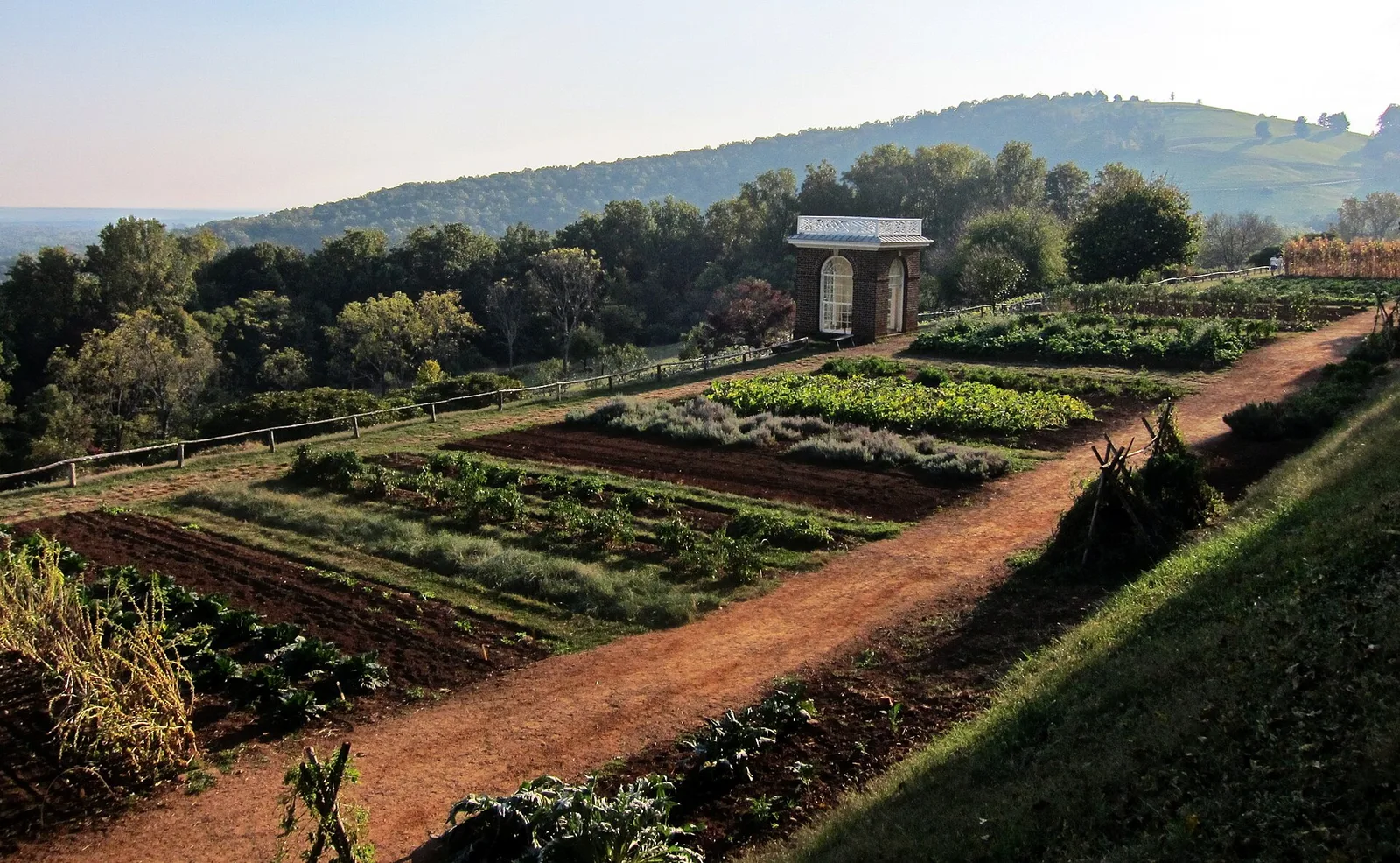 สวนผักบนลานยาวของบ้าน Monticello แปลงผักเรียงตามแนวลาน