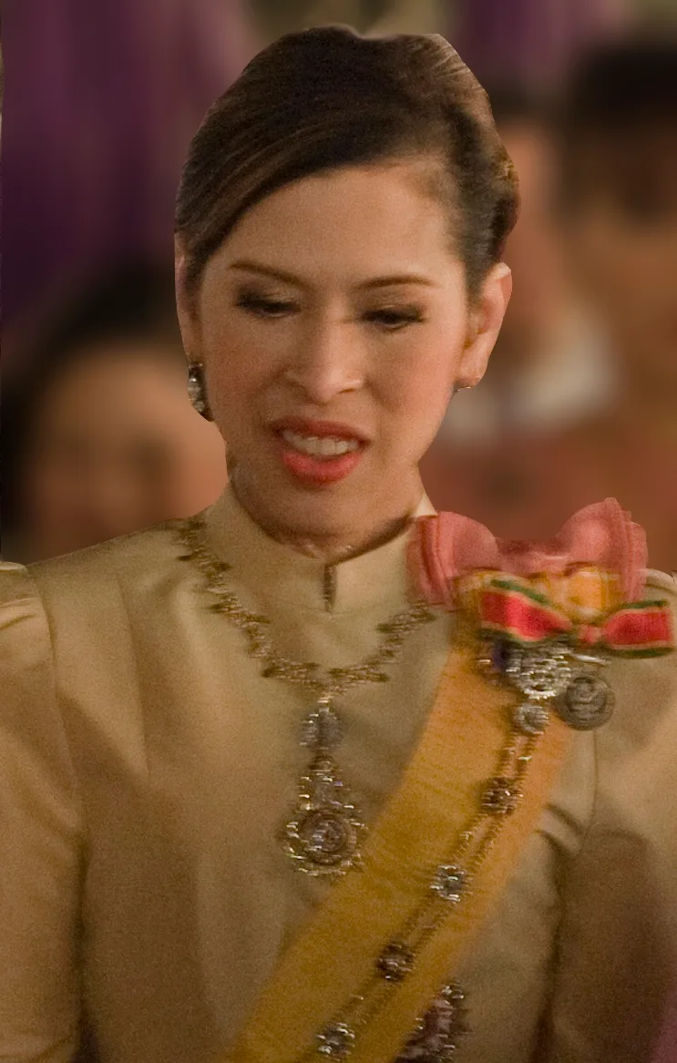 ภาพถ่ายวันที่ 7 ธันวาคม 2553 (ค.ศ. 2010) ในงานสโมสรสันนิบาต