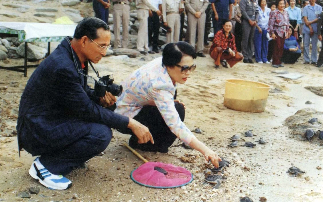 ทรงปล่อยเต่าทะเล ภาพประกอบหน้า ทรงพิทักษ์รักษาสรรพสิ่ง ของหน่วยราชการในพระองค์
