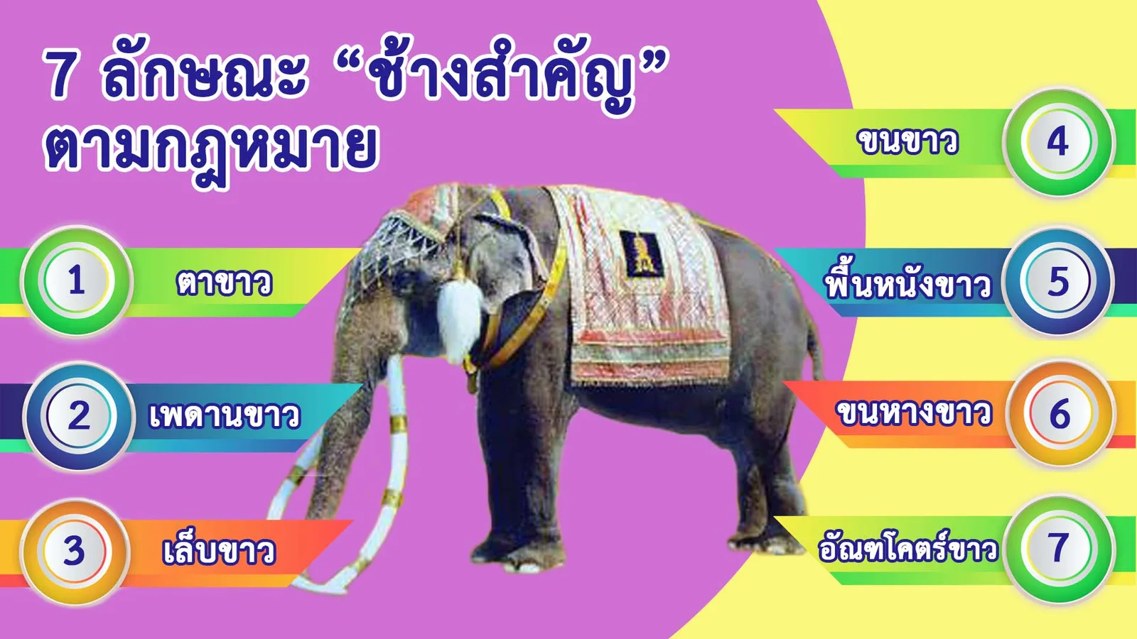 แผนภาพ 7 ลักษณะ ช้างสำคัญ ตามกฎหมาย