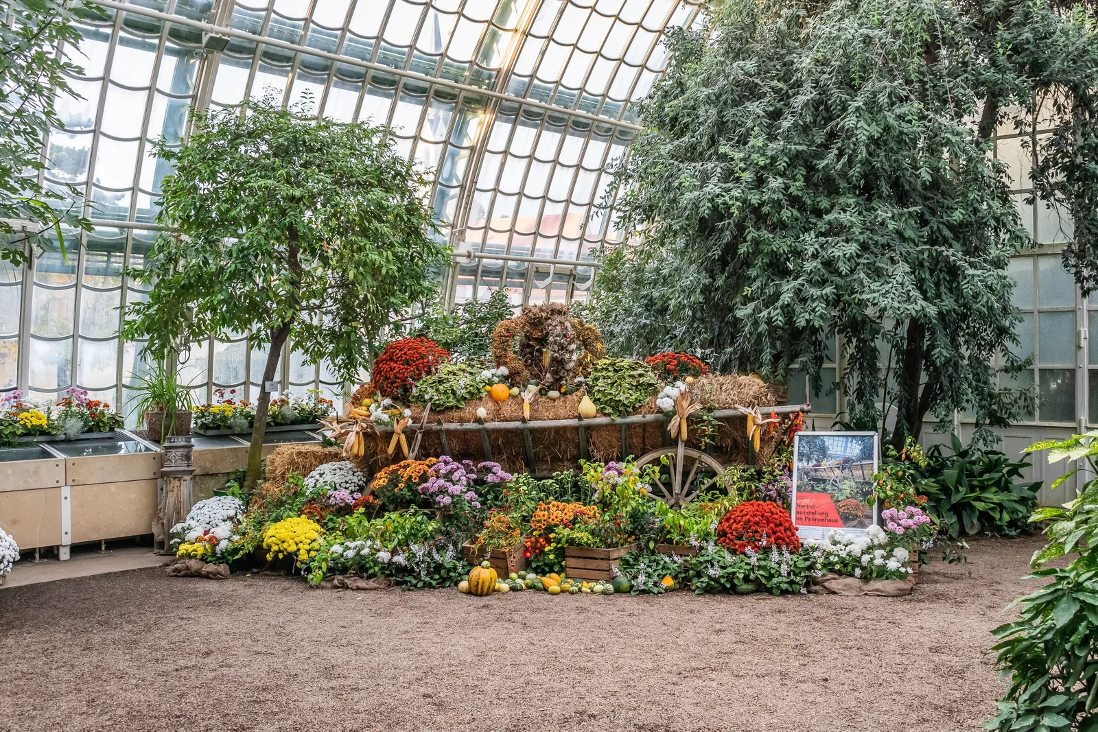ภายใน Palm House ในสวนพระราชวังเชินบรุนน์ ภาพถ่ายเมื่อ 11 พฤศจิกายน 2023