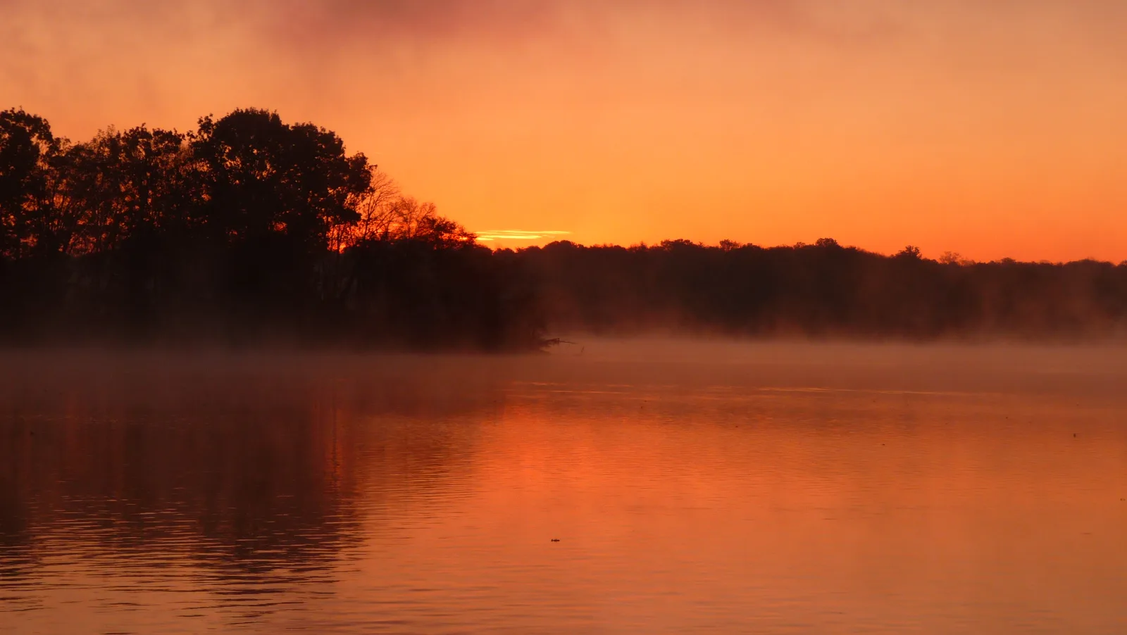 พระอาทิตย์ขึ้นสีส้มเหนือทะเลสาบ Old Hickory Lake ที่ Hendersonville รัฐเทนเนสซี เดือนพฤศจิกายน 2009