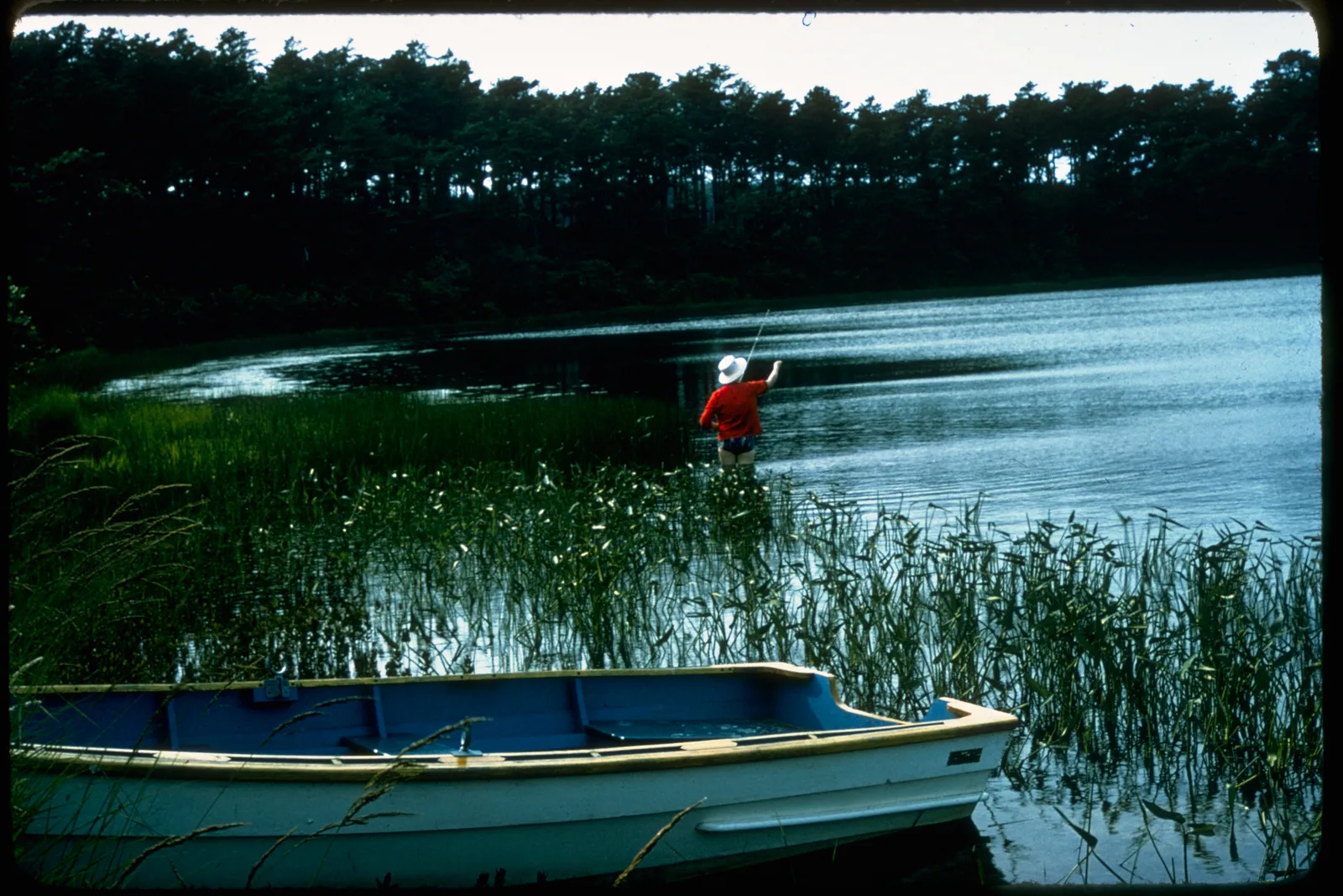 บ่อน้ำ ต้นกก และเรือลำเล็กในเขตอุทยาน Cape Cod National Seashore รัฐแมสซาชูเซตส์ ภาพของ National Park Service