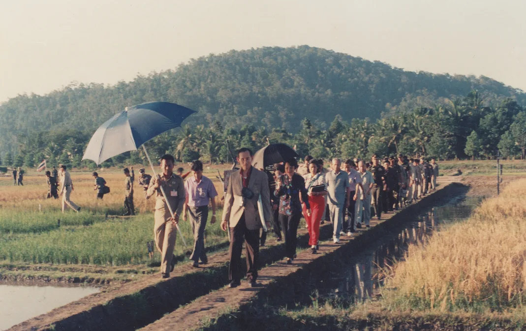 ภาพเก่า คณะเดินบนคันนา ประกอบองค์ความรู้เรื่องศูนย์ศึกษาการพัฒนาพิกุลทอง