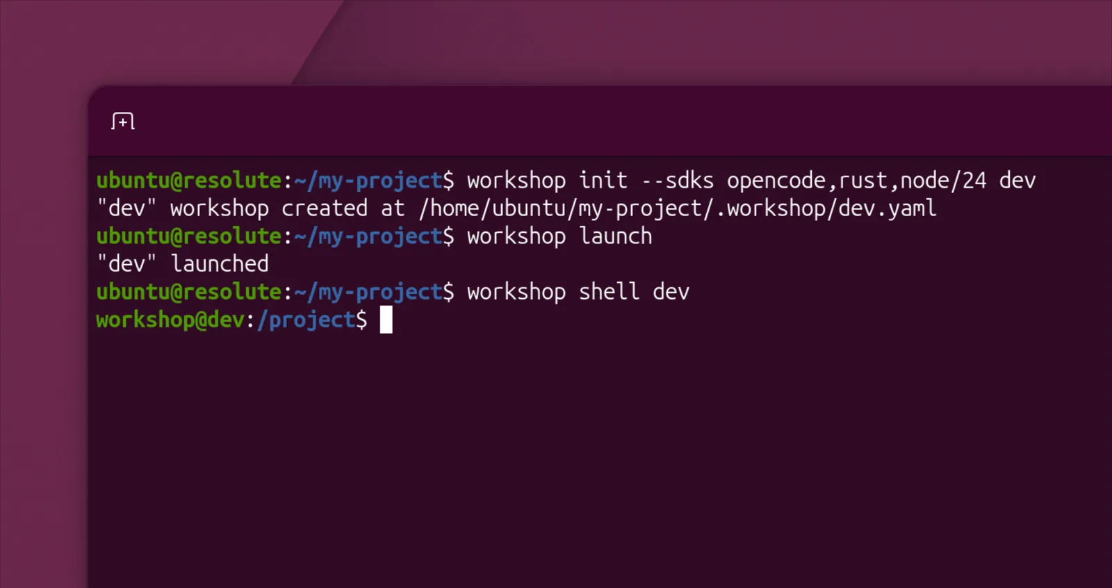 หน้าจอเทอร์มินัลของ Workshop ที่ Canonical ใช้ใน Ubuntu Core Desktop สำหรับงานพัฒนา