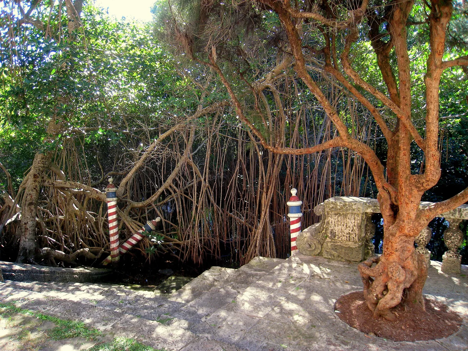 ลานในสวนของ Vizcaya ริมต้นไม้ใหญ่ ภาพถ่ายเดือนธันวาคม 2010