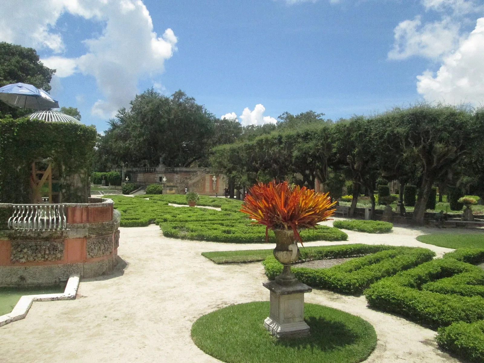 แปลงไม้พุ่มตัดแต่งรอบกระถางพืชสีส้มในสวน Vizcaya ภาพถ่ายเดือนสิงหาคม 2015