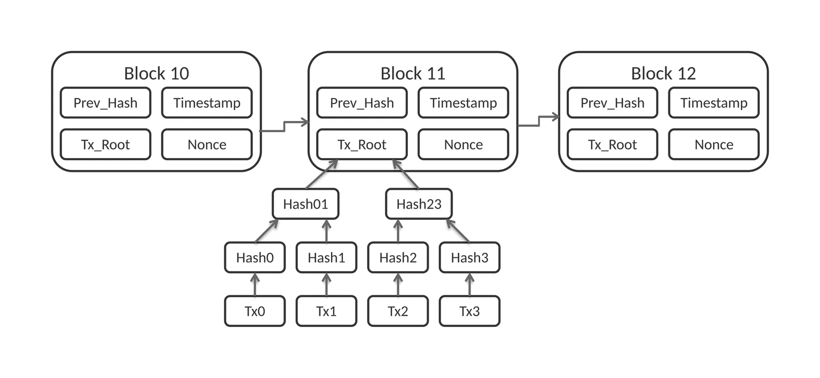 แผนภาพโครงสร้างข้อมูลแบบย่อของบล็อกเชน Bitcoin: บล็อก 10 ถึง 12 แต่ละบล็อกมี Prev_Hash, Timestamp, Tx_Root และ Nonce ส่วน Tx_Root คำนวณจากแฮชของธุรกรรม Tx0 ถึง Tx3