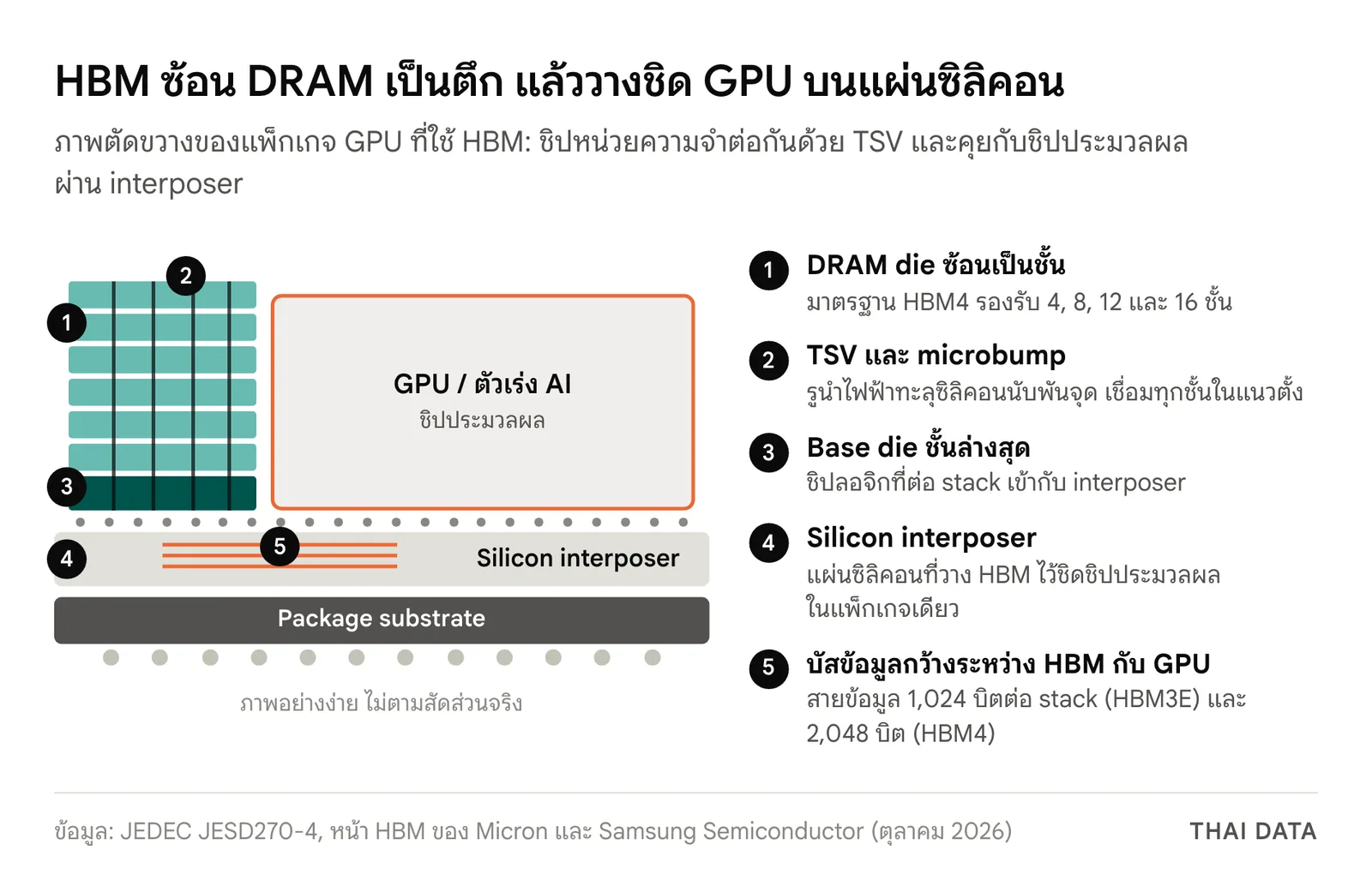 แผนภาพตัดขวางของ HBM: DRAM die หลายชั้นซ้อนบน base die เชื่อมกันด้วย TSV วางข้าง GPU บน silicon interposer และ package substrate พร้อมคำอธิบายบัส 1,024 และ 2,048 บิต